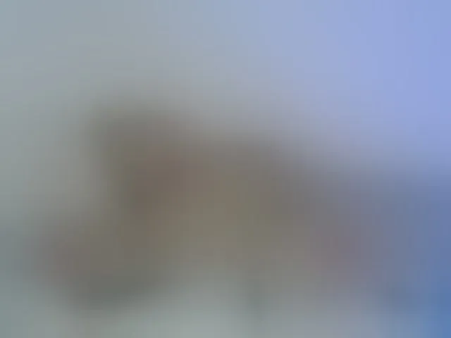 Live sex webcam photo for Keylafisher #294070711