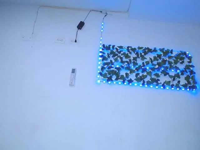 Live sex webcam photo for Keysla-sam #289379958