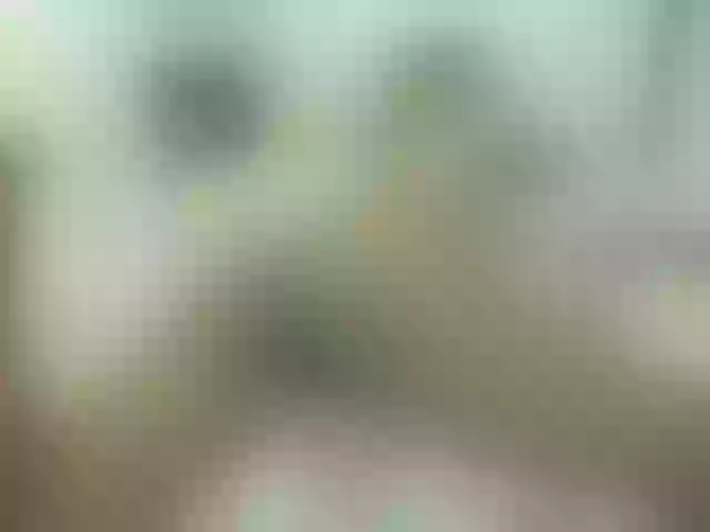 Live sex webcam photo for KiaraKaneel #274324960