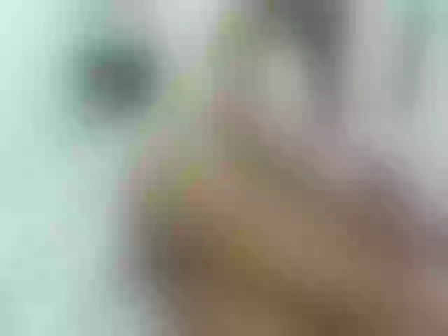 Live sex webcam photo for KiaraKaneel #274428349