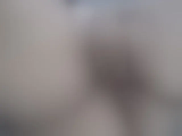 Live sex webcam photo for KiaraTimber #278293236