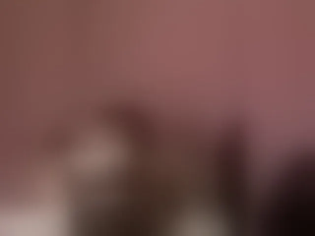 Live sex webcam photo for Kiarichikito1 #292851328