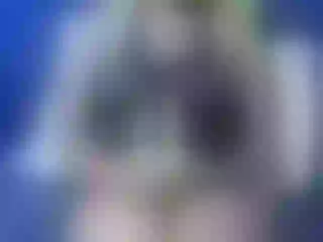 Live sex webcam photo for Kikicaster #290731298