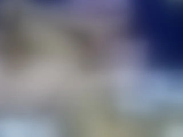 Live sex webcam photo for Kikicaster #291180012