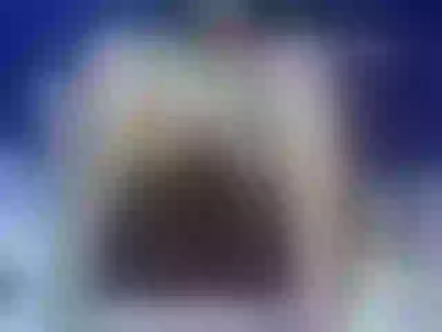 Live sex webcam photo for Kikicaster #291192938