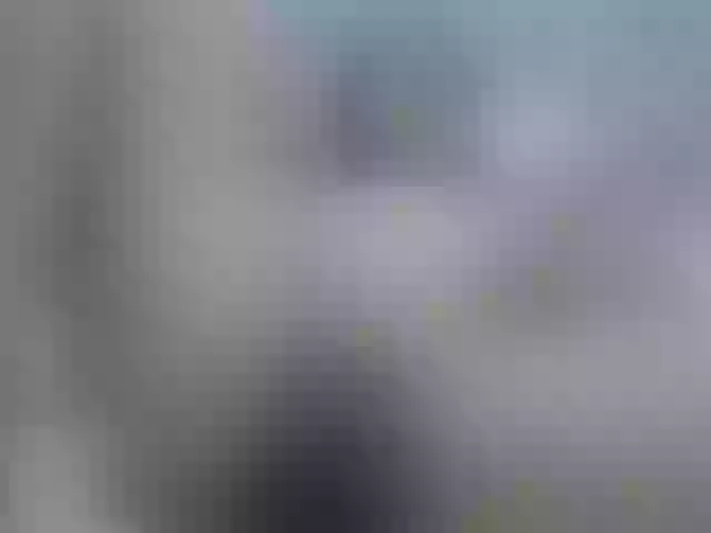 Live sex webcam photo for Kim-sweetlove #275564605