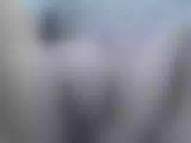 Live sex webcam photo for Kim-sweetlove #275877365