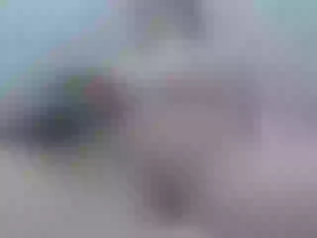 Live sex webcam photo for Kim-sweetlove #276104065