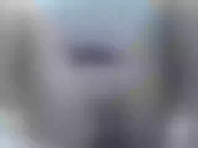 Live sex webcam photo for Kim-sweetlove #276518214