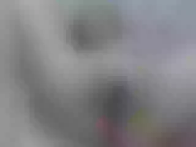Live sex webcam photo for Kim-sweetlove #276582586