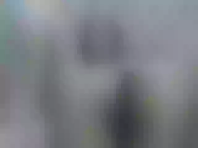 Live sex webcam photo for Kim-sweetlove #276762797