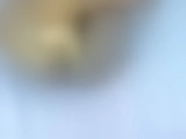 Live sex webcam photo for Kimberlyluv959 #290804572