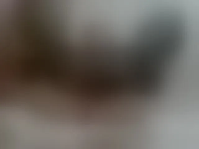 Live sex webcam photo for Kimmmmis #293032920
