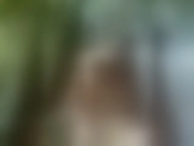 Live sex webcam photo for Kimmmmis #294135834