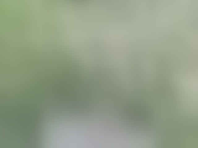 Live sex webcam photo for Kimmmmis #294273394
