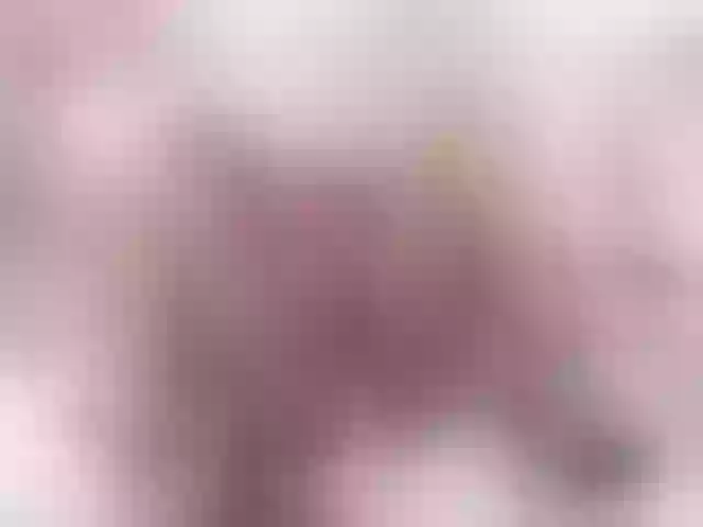 Live sex webcam photo for Kimmturner #290571884