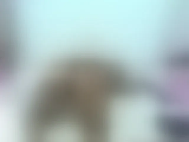 Live sex webcam photo for Kimmturner #293360626