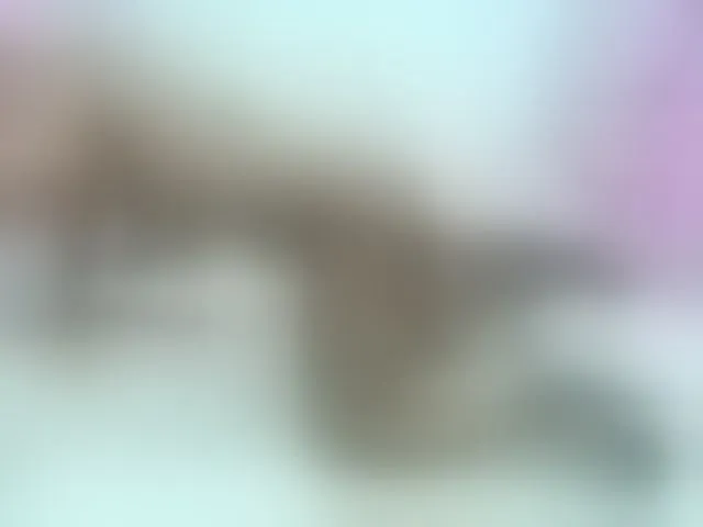 Live sex webcam photo for Kimmturner #293375380
