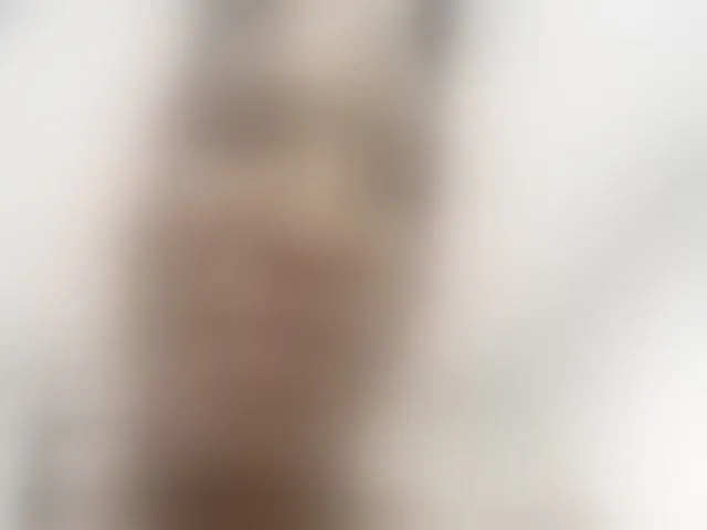 Live sex webcam photo for Kimmturner #293422447