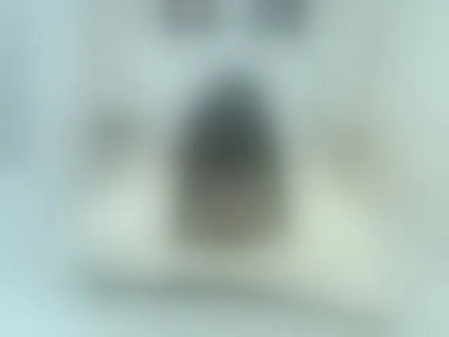 Live sex webcam photo for Kimmturner #294122356