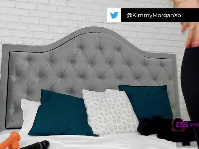 Live sex webcam photo for KimmyMorgan #272754332