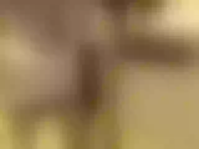 Live sex webcam photo for Kinnaree #272491280