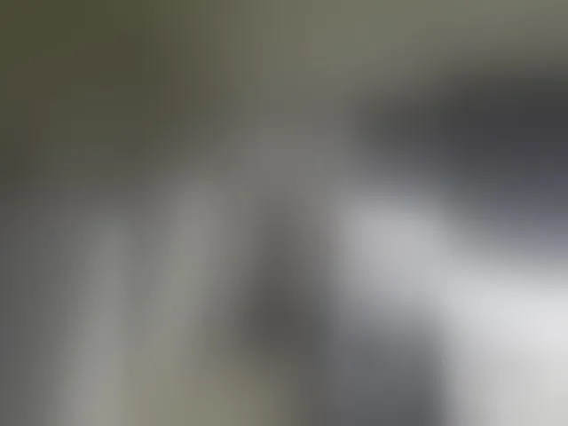 Live sex webcam photo for Kira183 #292786345