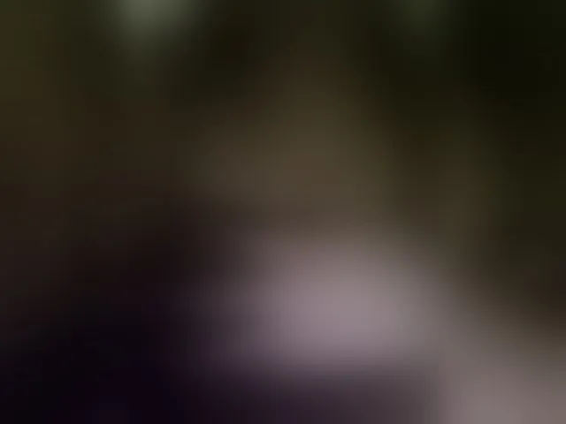 Live sex webcam photo for Kira183 #293032237