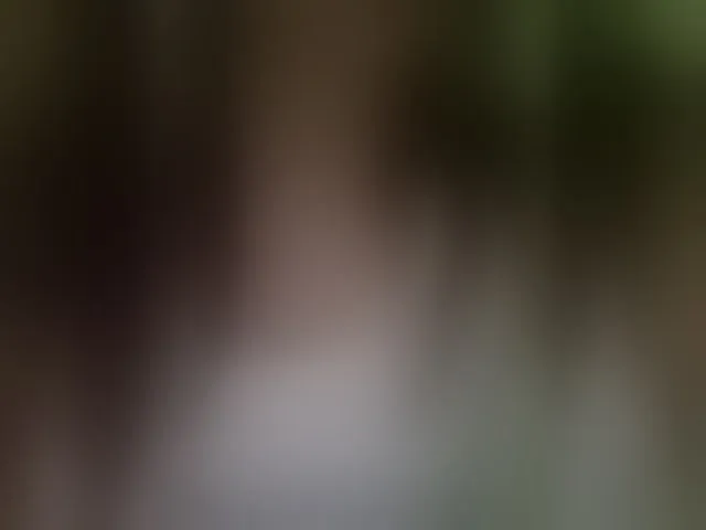 Live sex webcam photo for Kira183 #293136804