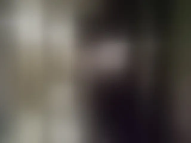 Live sex webcam photo for Kira183 #293150756