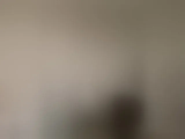 Live sex webcam photo for Kira183 #293478488