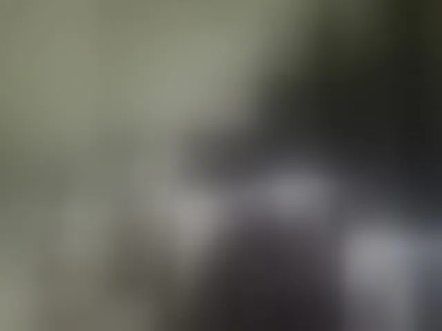 Live sex webcam photo for Kira183 #293585877