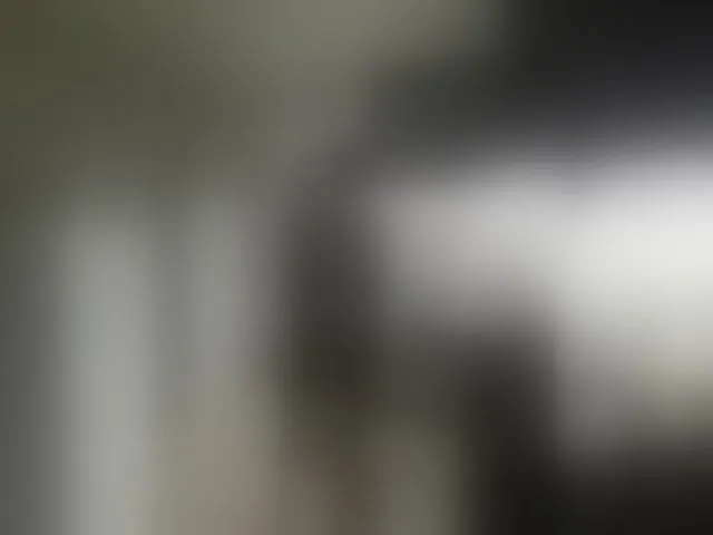 Live sex webcam photo for Kira183 #293650462