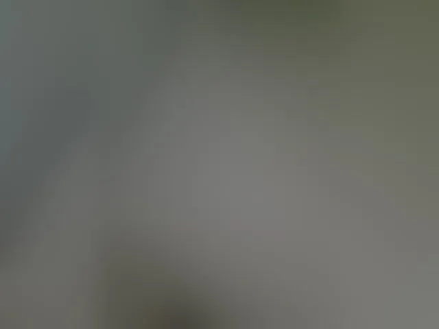 Live sex webcam photo for Kira183 #293660571