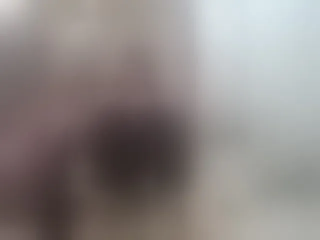 Live sex webcam photo for Kira183 #293679815