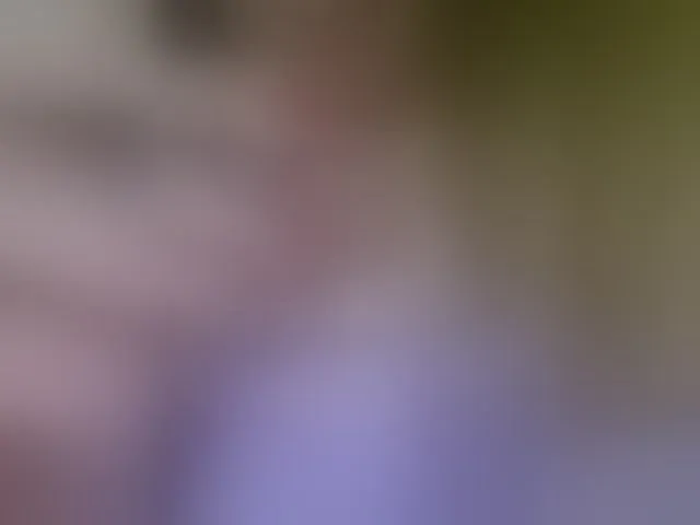 Live sex webcam photo for Kira183 #293773993