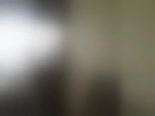 Live sex webcam photo for Kira183 #293806414