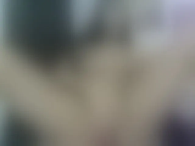 Live sex webcam photo for Kirra4u #292749020