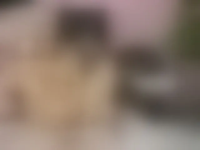 Live sex webcam photo for KirraWhite #293447058