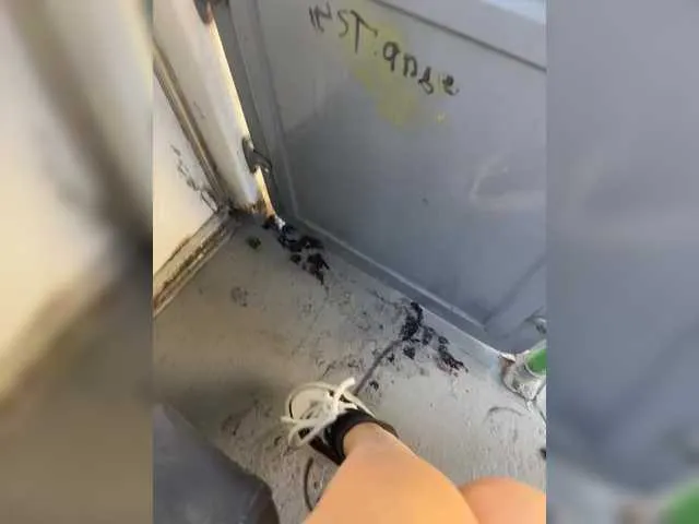 Live sex webcam photo for Kisa-Gav #289468482