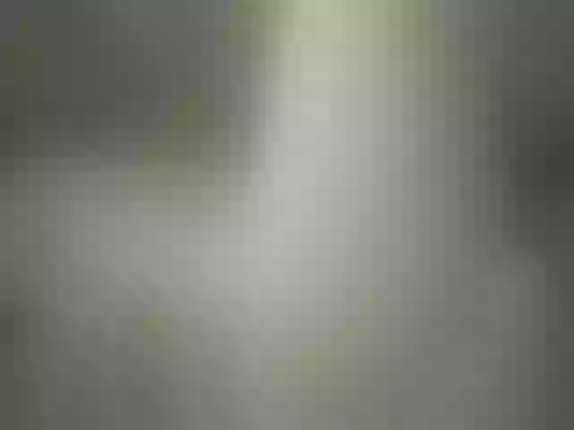 Live sex webcam photo for Kisa-Mrrr #274479043