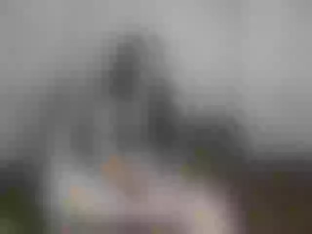 Live sex webcam photo for Kisa-malaya #290536979