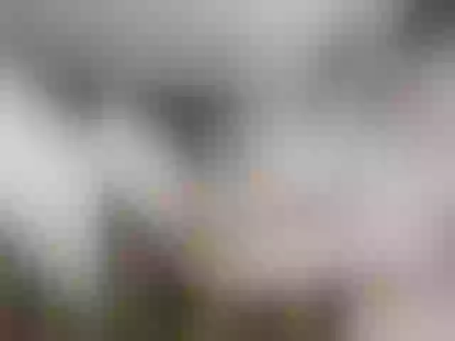 Live sex webcam photo for Kisa-malaya #290584667
