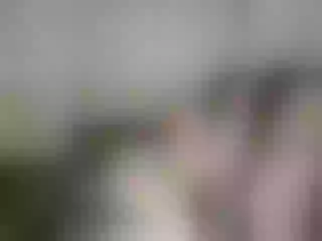 Live sex webcam photo for Kisa-malaya #290905086