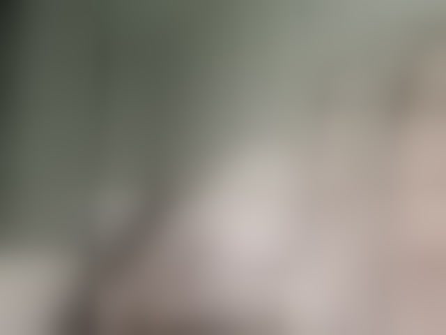 Live sex webcam photo for Kisa-malaya #291127789