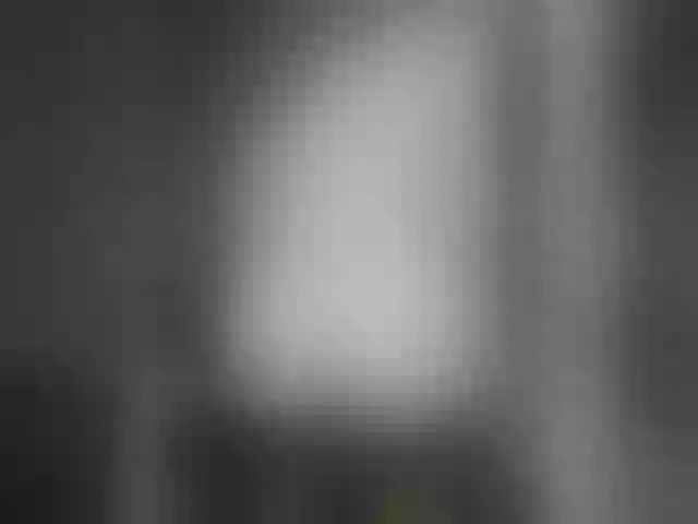 Live sex webcam photo for Kisa-malaya #291327616