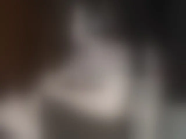 Live sex webcam photo for Kisa-malaya #293332927