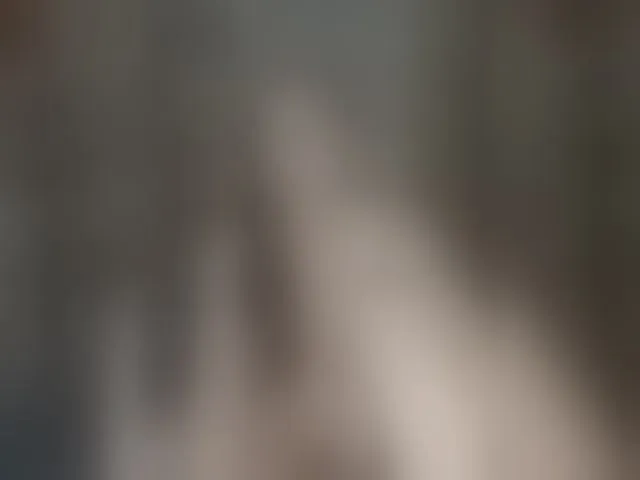 Live sex webcam photo for Kisa-malaya #293768114
