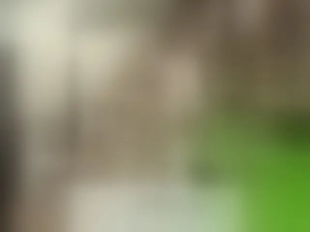Live sex webcam photo for Kisa-malaya #294146627