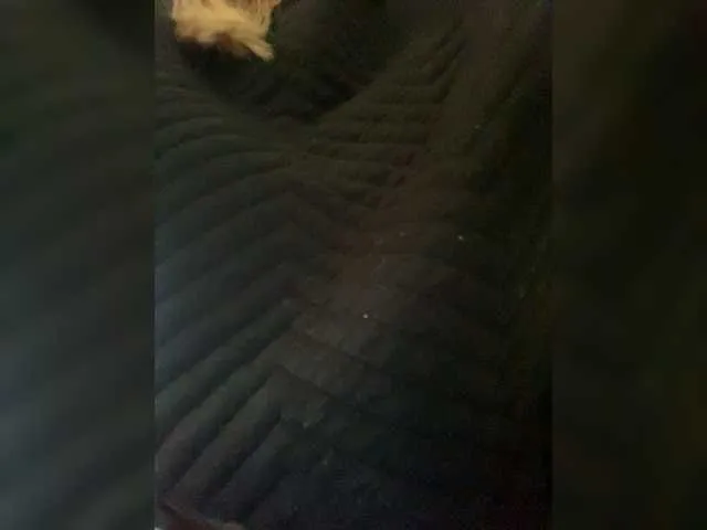 Live sex webcam photo for Kiskasis #277783871